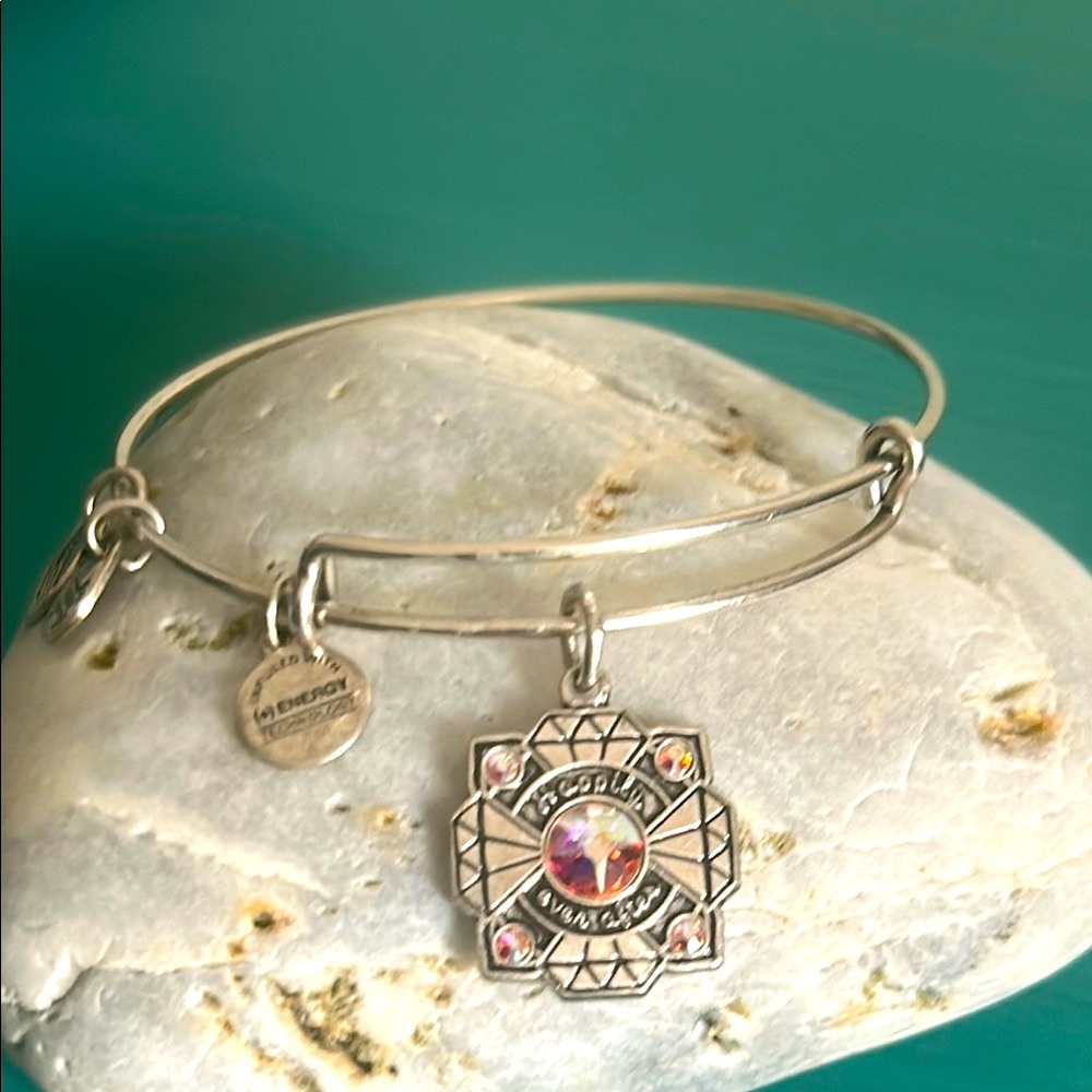Alex and Ani Silver Tone “Happily Ever After” Bride  Bangle Charm Bracelet